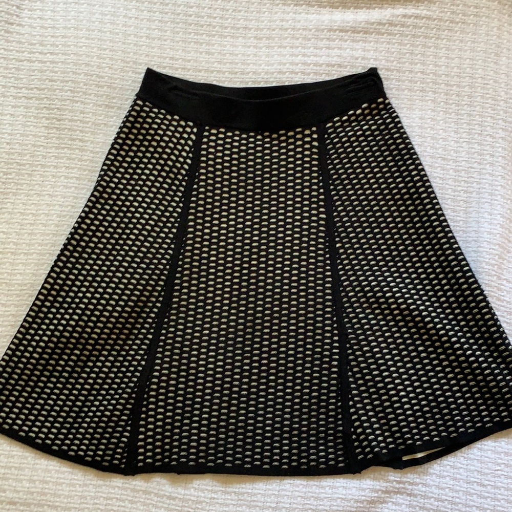 Ann Taylor skirt